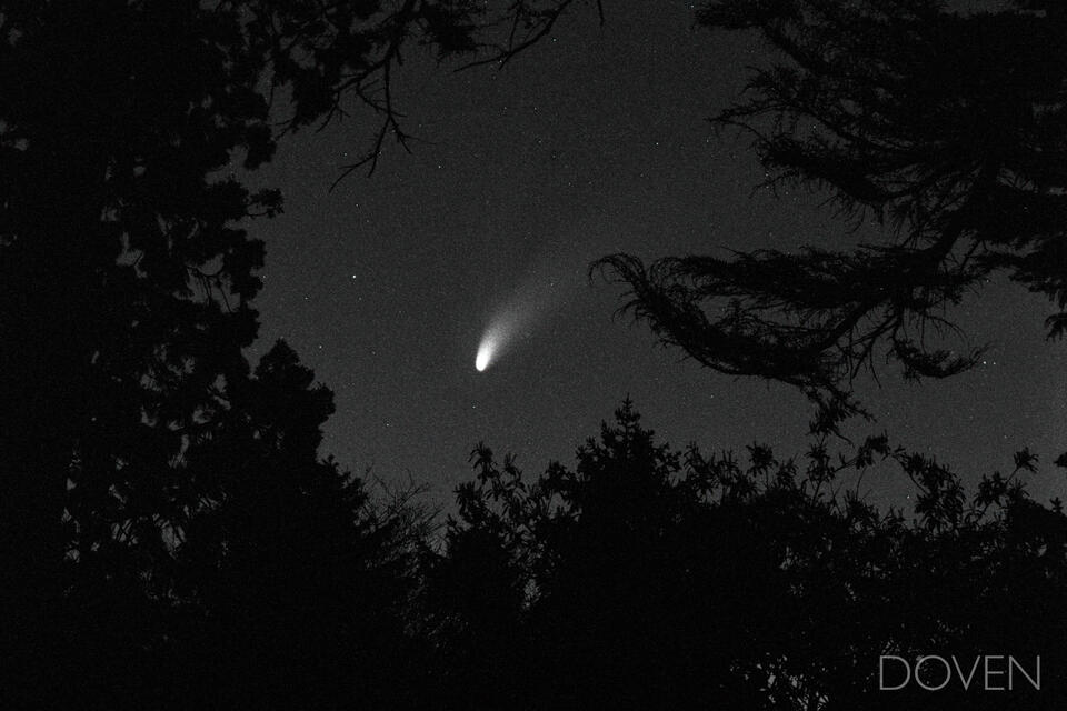 The Night Sky